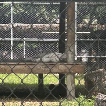 Zoological Wildlife Foundation - Zoos Near Me - Miami, Florida Zoological Wildlife Foundation - Zoos Near Me - Miami, Florida