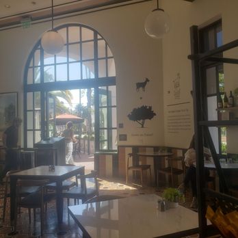 Goat Tree - Cafes Near Me - Santa Barbara, California Goat Tree - Cafes Near Me - Santa Barbara, California