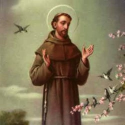 St. Francis of Assisi Religious Gifts - Patron saint for our store