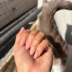 Nailed It Spa - Hard gel manicure with tips