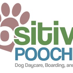 Positive Pooches LLC