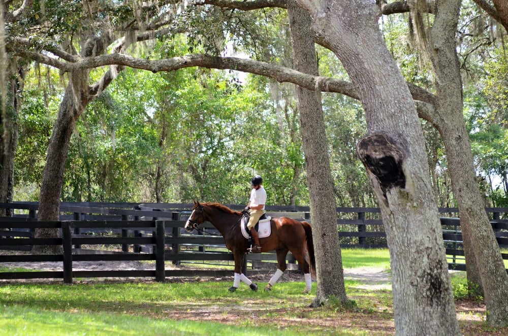 Wind Song Equestrain Farm - equestrian in Apopka, FL