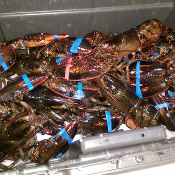 Atlantic Edge Lobster - Seafood Markets Near Me - Boothbay Harbor, Maine Atlantic Edge Lobster - Seafood Markets Near Me - Boothbay Harbor, Maine