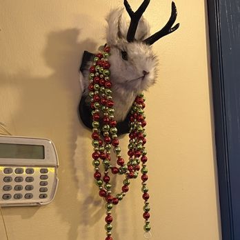 Doozy’s Diner - a deer head mounted on a wall - Diners Near Me - Catonsville, Maryland Doozy’s Diner - a deer head mounted on a wall - Diners Near Me - Catonsville, Maryland