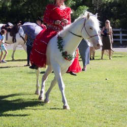 Camarillo Ranch Foundation