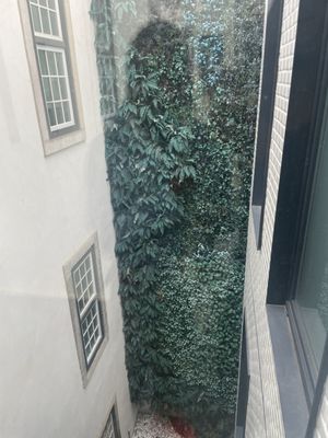 Hotel da Baixa by null