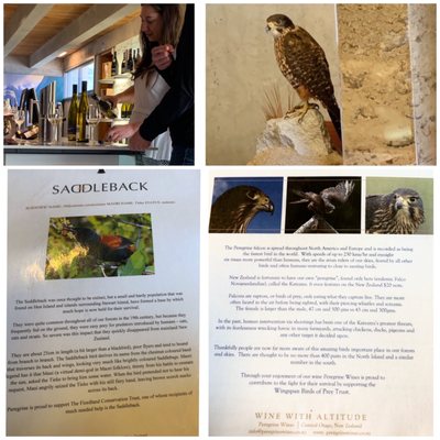 Peregrine Wines by null