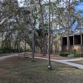 Lettuce Lake Park - Some trees - Parks Near Me - Tampa, Florida