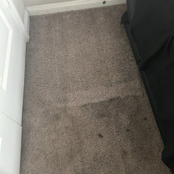 Dsteamer - Carpet Cleaning Near Me
