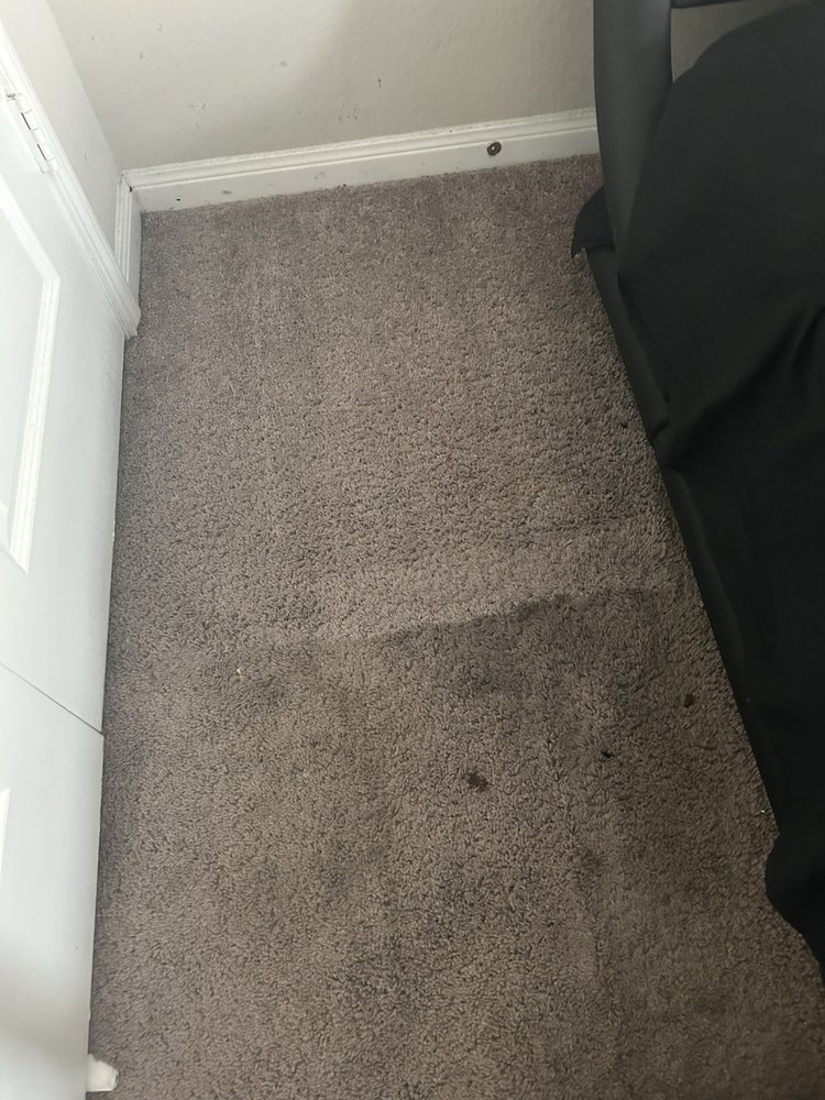 Dsteamer - veterans service organization in Houston, TX