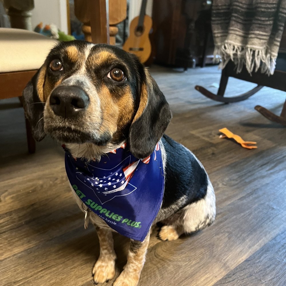Pet Supplies Plus Denton - Taki post nail appointment - Pet Stores Near Me - Denton, Texas
