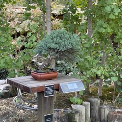 Shinzen Friendship Garden