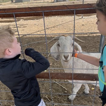 Mortimer Farms - Attraction Farms Near Me - Dewey, Arizona Mortimer Farms - Attraction Farms Near Me - Dewey, Arizona