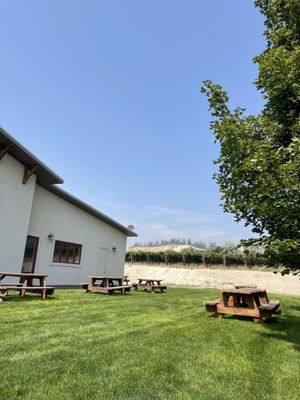 Koenig Vineyards by null