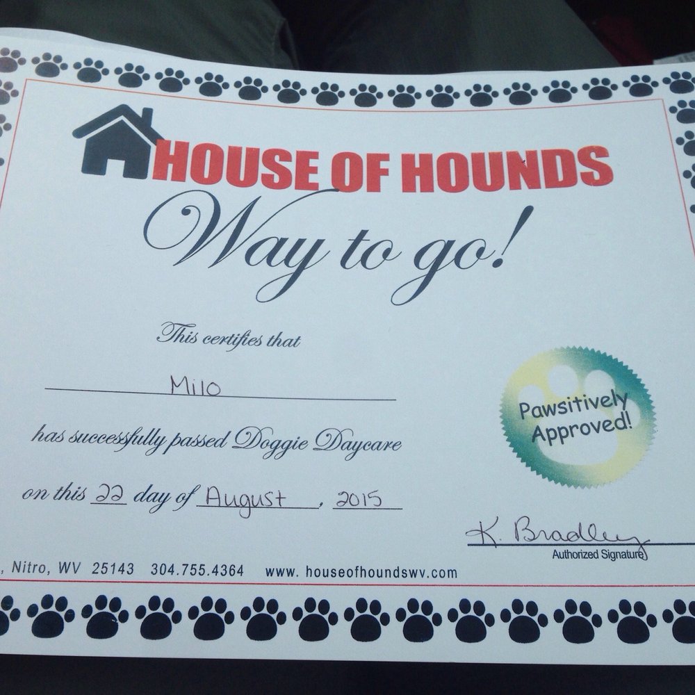 House of Hounds - Too cute! - Pet Sitting Near Me - Nitro, West Virginia House of Hounds - Too cute! - Pet Sitting Near Me - Nitro, West Virginia