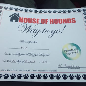 House of Hounds - Too cute! - Pet Sitting Near Me - Nitro, West Virginia House of Hounds - Too cute! - Pet Sitting Near Me - Nitro, West Virginia