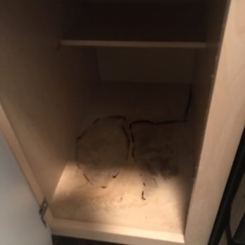 Campus Crossings on Highland - The cabinet was nasty! - Apartments Near Me - Baton Rouge, Louisiana Campus Crossings on Highland - The cabinet was nasty! - Apartments Near Me - Baton Rouge, Louisiana