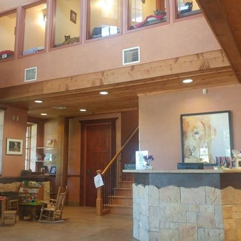 Stonebriar Veterinary Centre - Veterinarians Near Me - Frisco, Texas