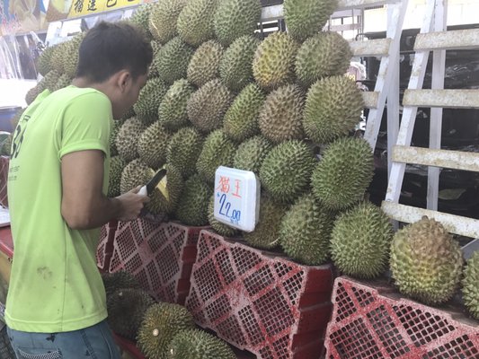 Durian 36 by null