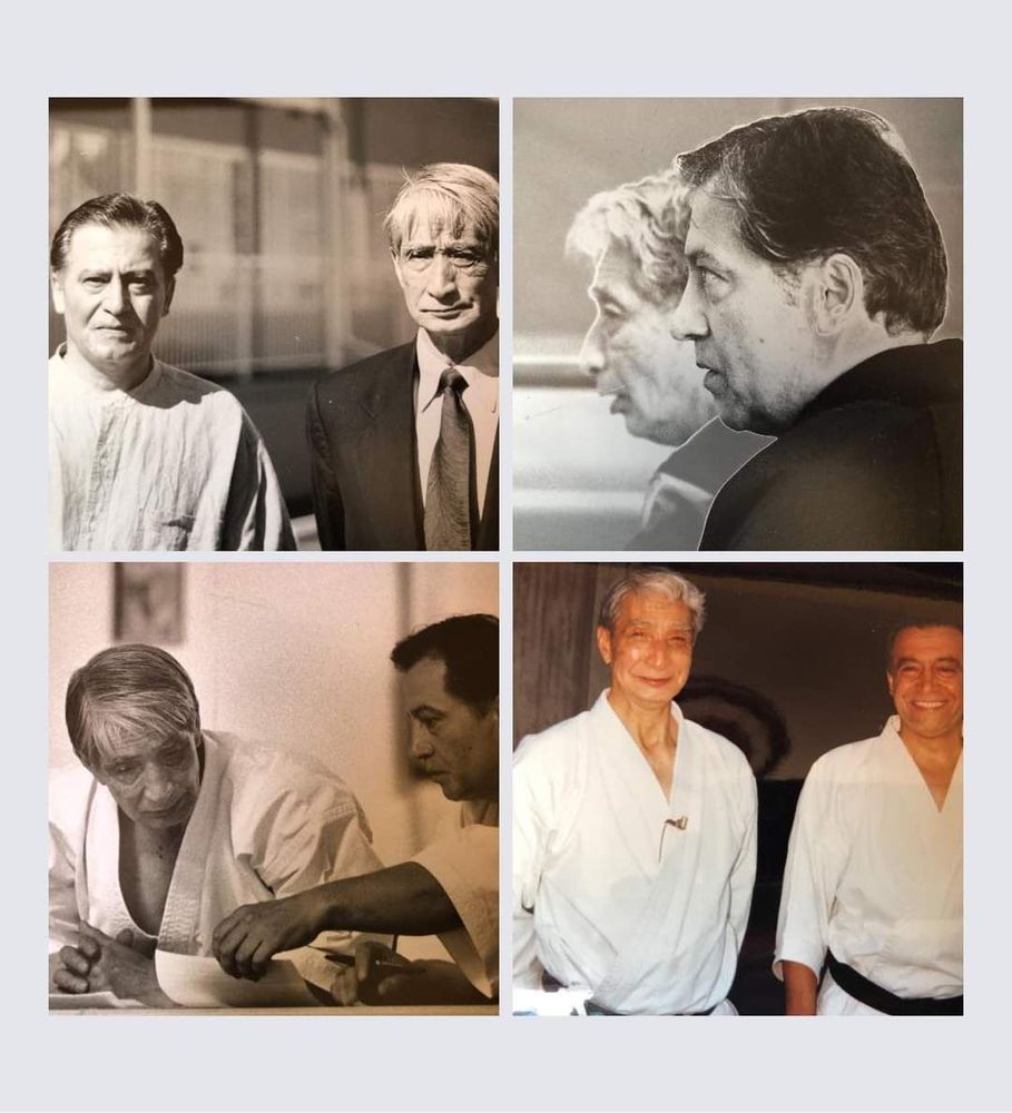 Shotokan Karate Institute Logo