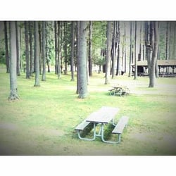 Hyner Run State Park - Picnic in Hyner Run.