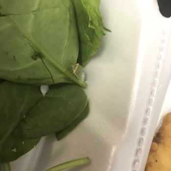 New Deck Tavern - A bug on my salad that came "pre-washed" please check your spinach salads if it's to go. - American Near Me - Philadelphia, Pennsylvania