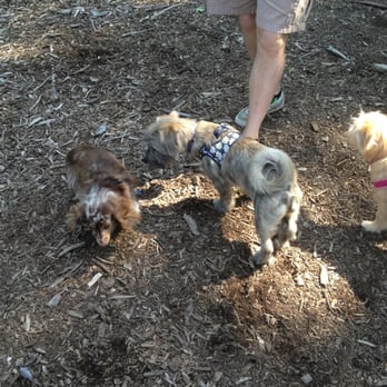 Cunningham Park Dog Run - Dog Parks Near Me - New York, New York