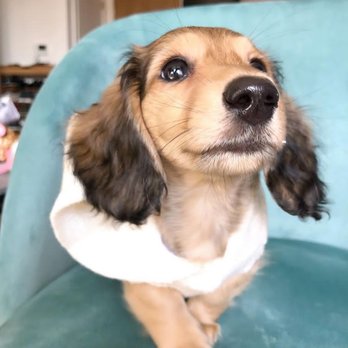 J J Grocery & Deli - Delis Near Me - Baltimore, Maryland J J Grocery & Deli - Delis Near Me - Baltimore, Maryland