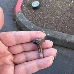 Taco Time - Leftover construction nail gave me a flat tire in the drive through