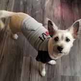 petsmart stool softener