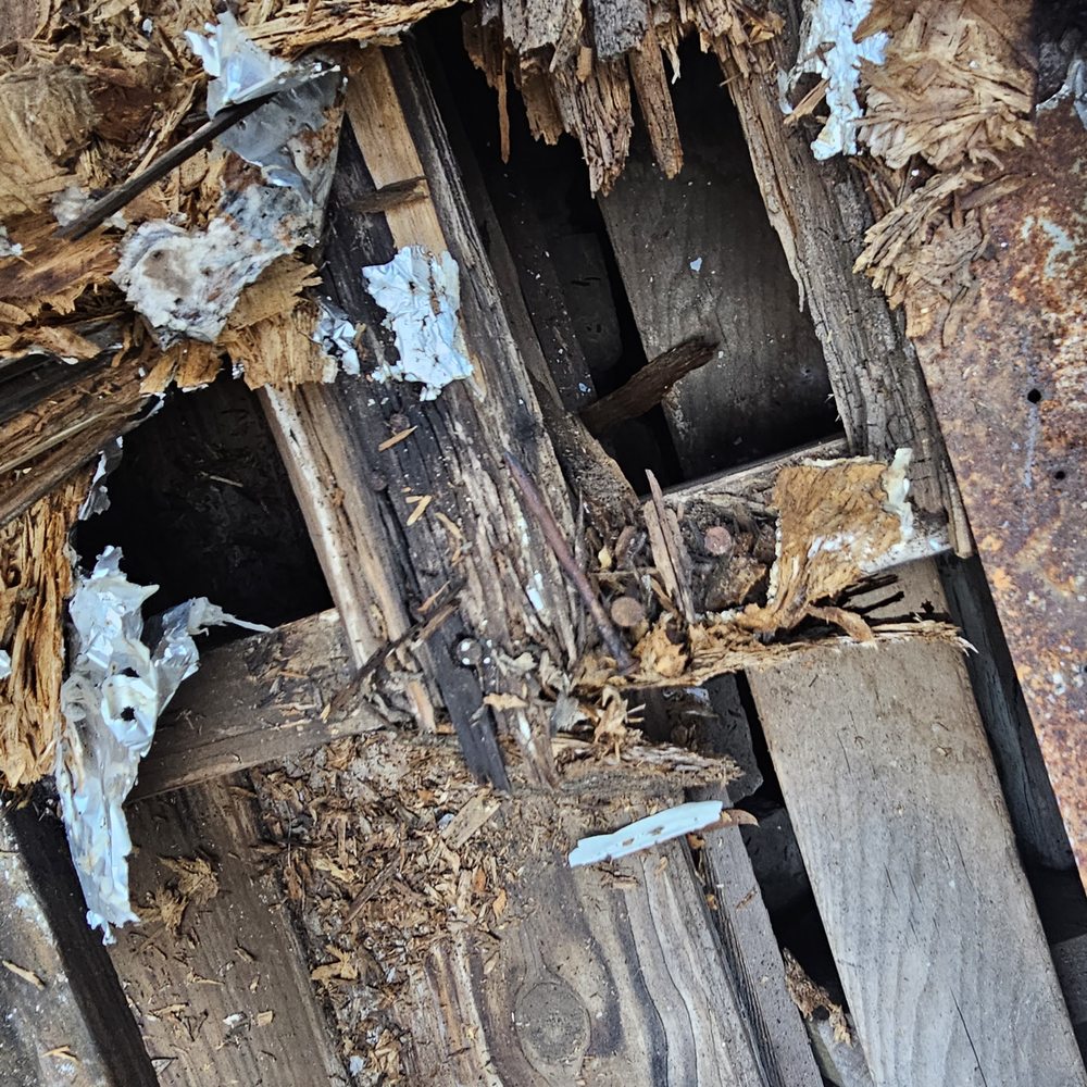 Slide of Roofs by Jeff