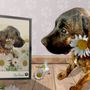 Photo of PetCalls