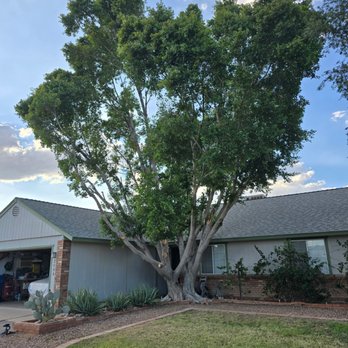 Garcia's Landscaping - After - Landscaping Near Me - Chandler, Arizona Garcia's Landscaping - After - Landscaping Near Me - Chandler, Arizona