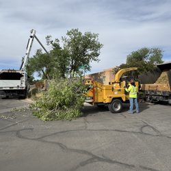 A- 1 Tree And Hauling Services