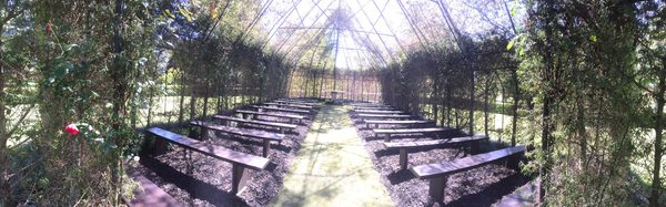 TreeChurch and Gardens by null
