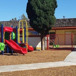 Sunflower Preschool & Kindergarten