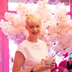 Hair Design - Pink Inc