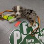 Photo of Pet Food Warehouse