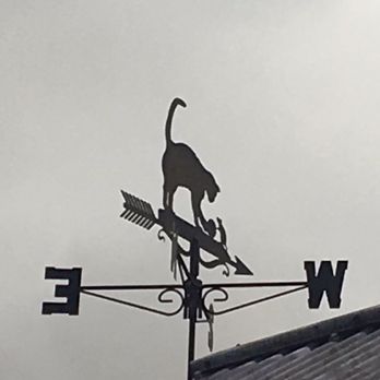 The Fat Cat - Pubs Near Me - Sheffield, XSY
