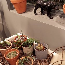 Panther’s Place - In bathroom wait area