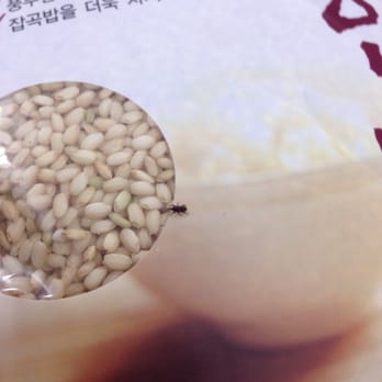 Hannam Chain - I thought this shop is good and clean look what founds all of the Sempio brand rice has bugs. DON'T EVER BUY THIS BRAND - Fruits & Veggies Near Me - Walnut, California