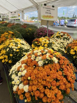 19th Avenue Farmer's Market by null