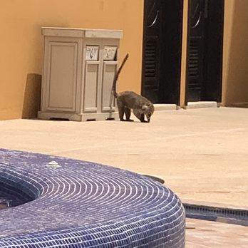 The Royal Haciendas - Hotels Near Me - Playa del Carmen, ROO The Royal Haciendas - Hotels Near Me - Playa del Carmen, ROO