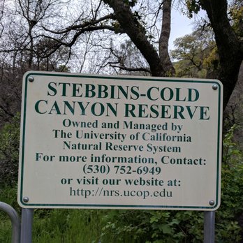 Stebbins Cold Canyon Loop Trail - Beginning sign - Hiking Near Me - Winters, California