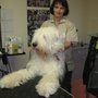 Photo of Hundesalon Anita