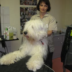 Hundesalon Anita
