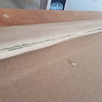 EdenStay - Unusable - Property Management Near Me