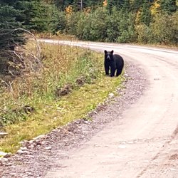 Crowsnest Adventures
