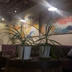 Brigid's Bottleshop