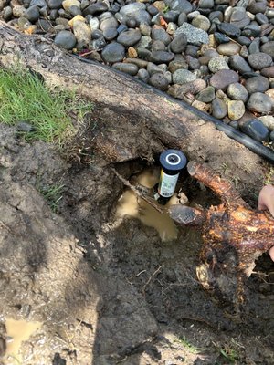 Silver Peak Irrigation on Yelp